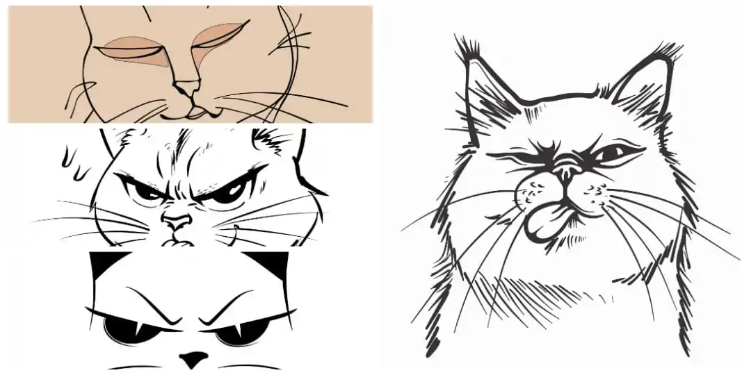 A collage showcasing four cat illustrations: a serene line art drawing, a detailed sketch of a perturbed cat, an angry cat with furrowed brows, and a final image of a cat with a stern expression in bold lines.